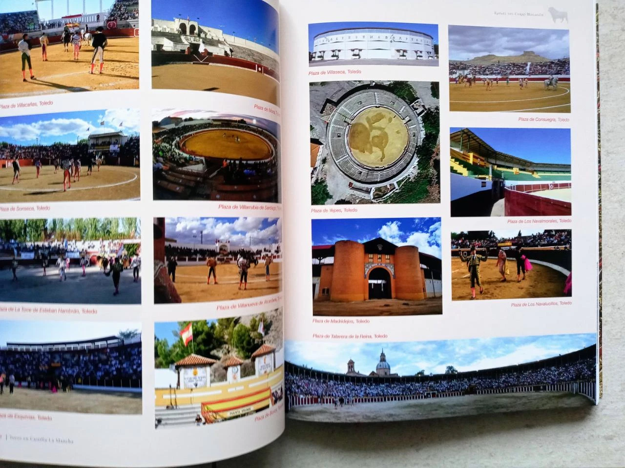 Livro Touros em Castilla-La Mancha – photo 4